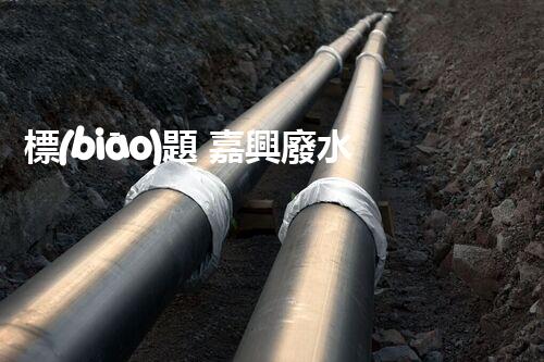 標(biāo)題 嘉興廢水處理廠家：解密行業(yè)隱形冠軍？